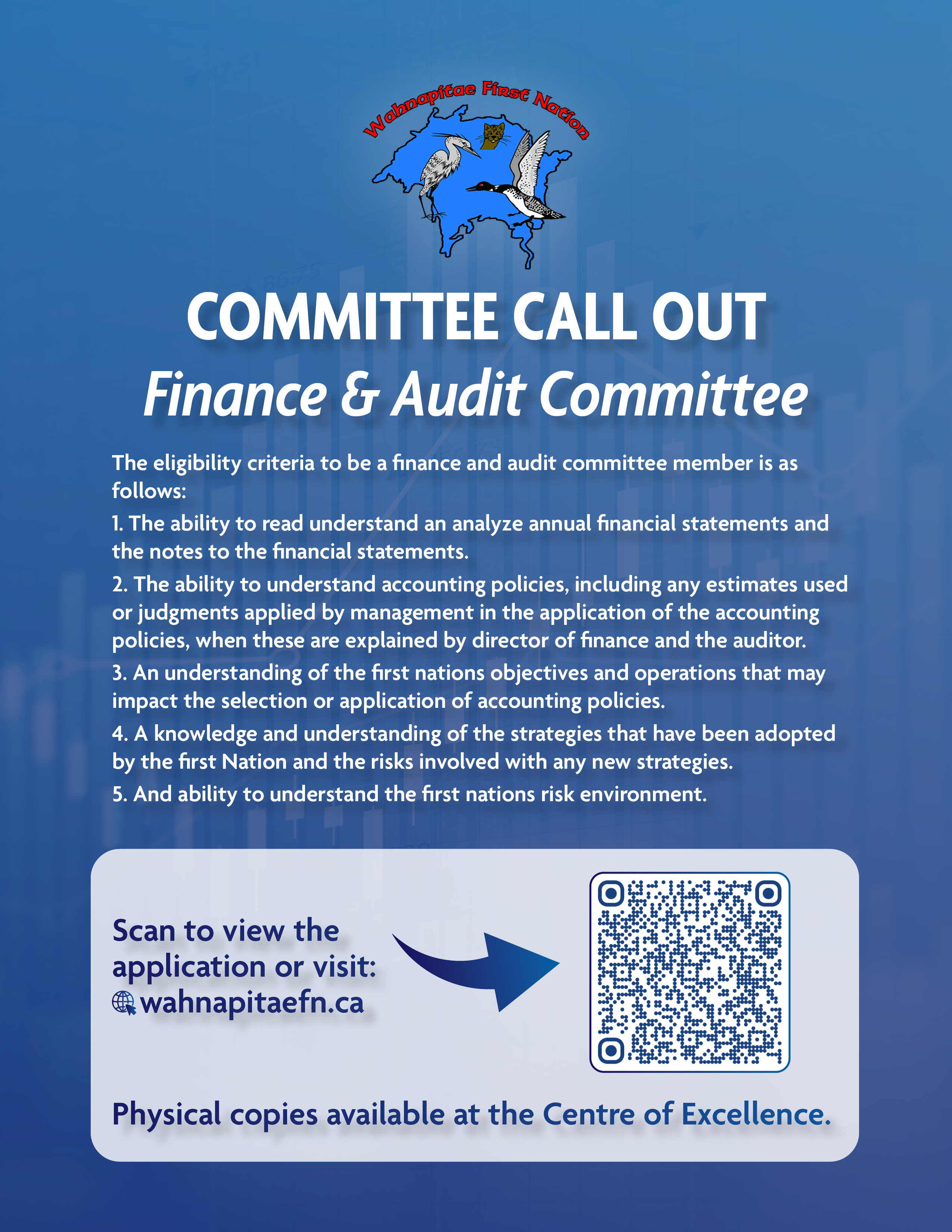 finance audit committee nov2025