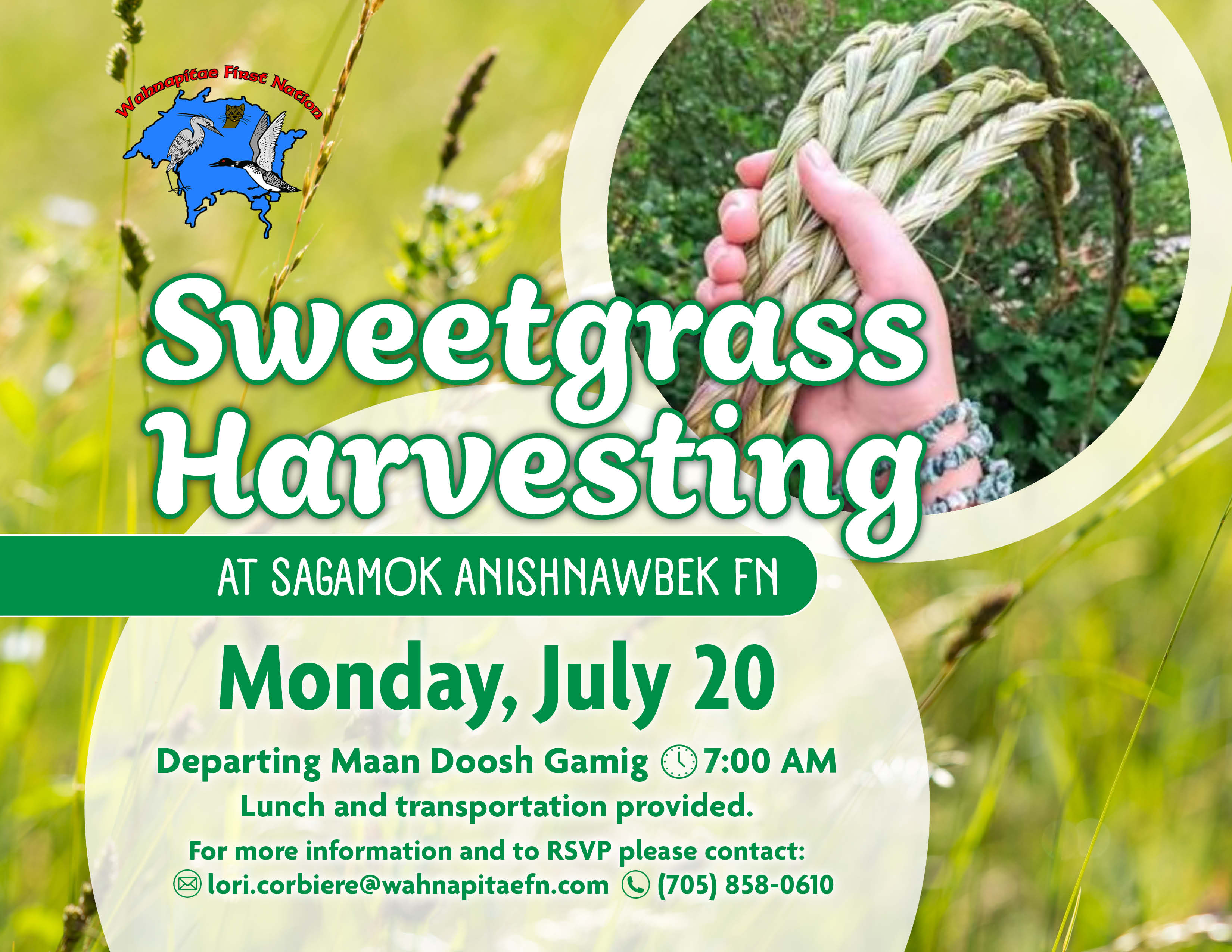 Sweetgrass Harvesting Flyer