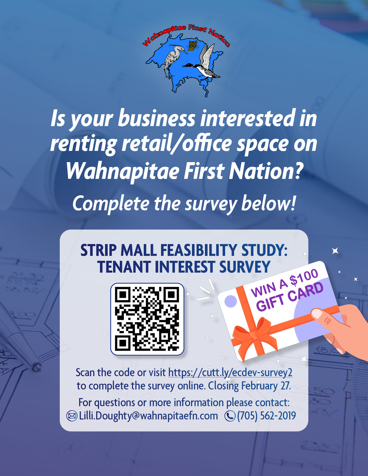 ec dev stripmall survey 